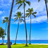 Patricia G., Accountant