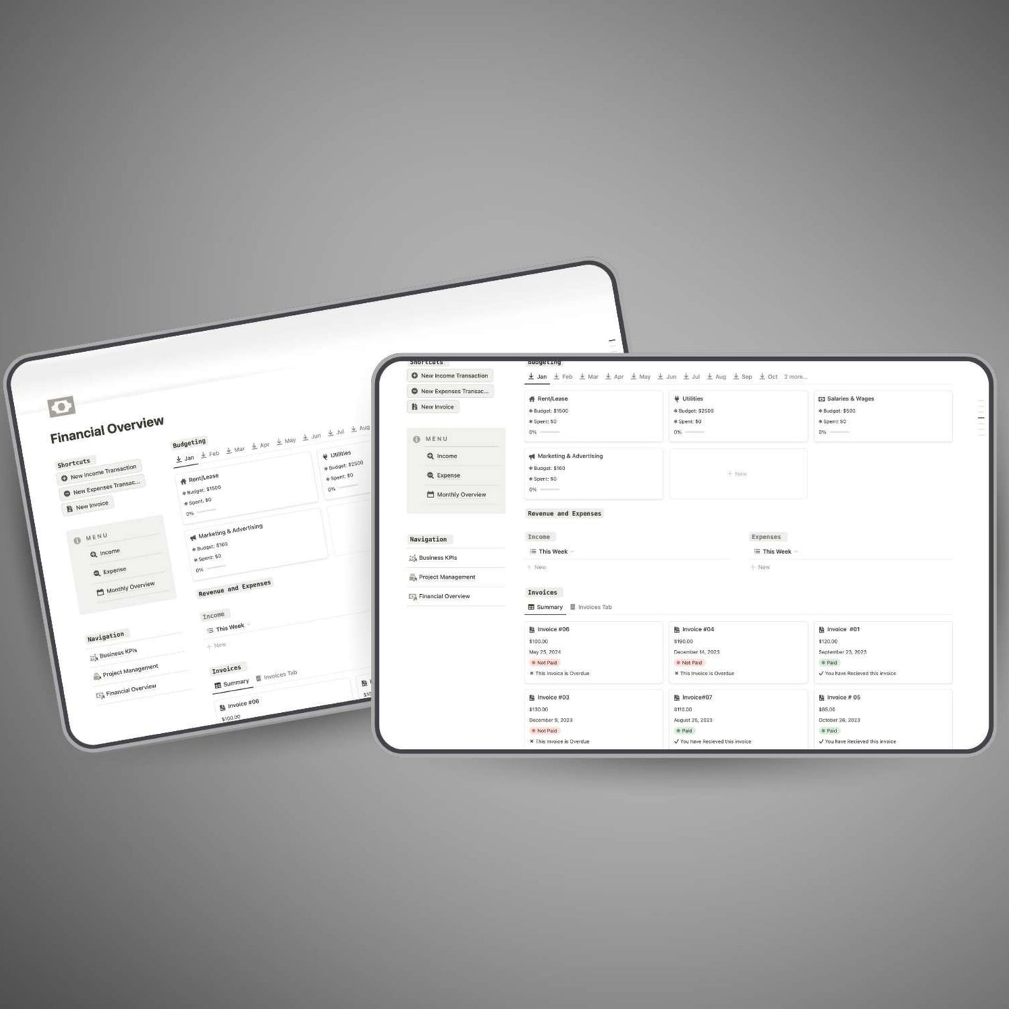 Visual business finance overview in Notion workspace