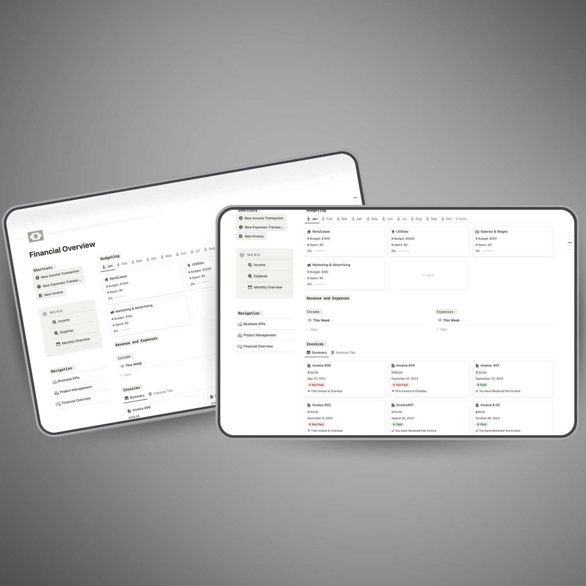 Visual business finance overview in Notion workspace