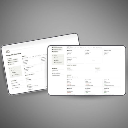 Visual business finance overview in Notion workspace
